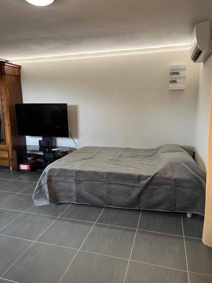 Studio Cosy Avec Grand Jardin Privatif Oasis Provencale A Taradeau エクステリア 写真